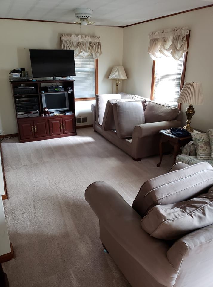 Freshly Cleaned Living Room Carpet